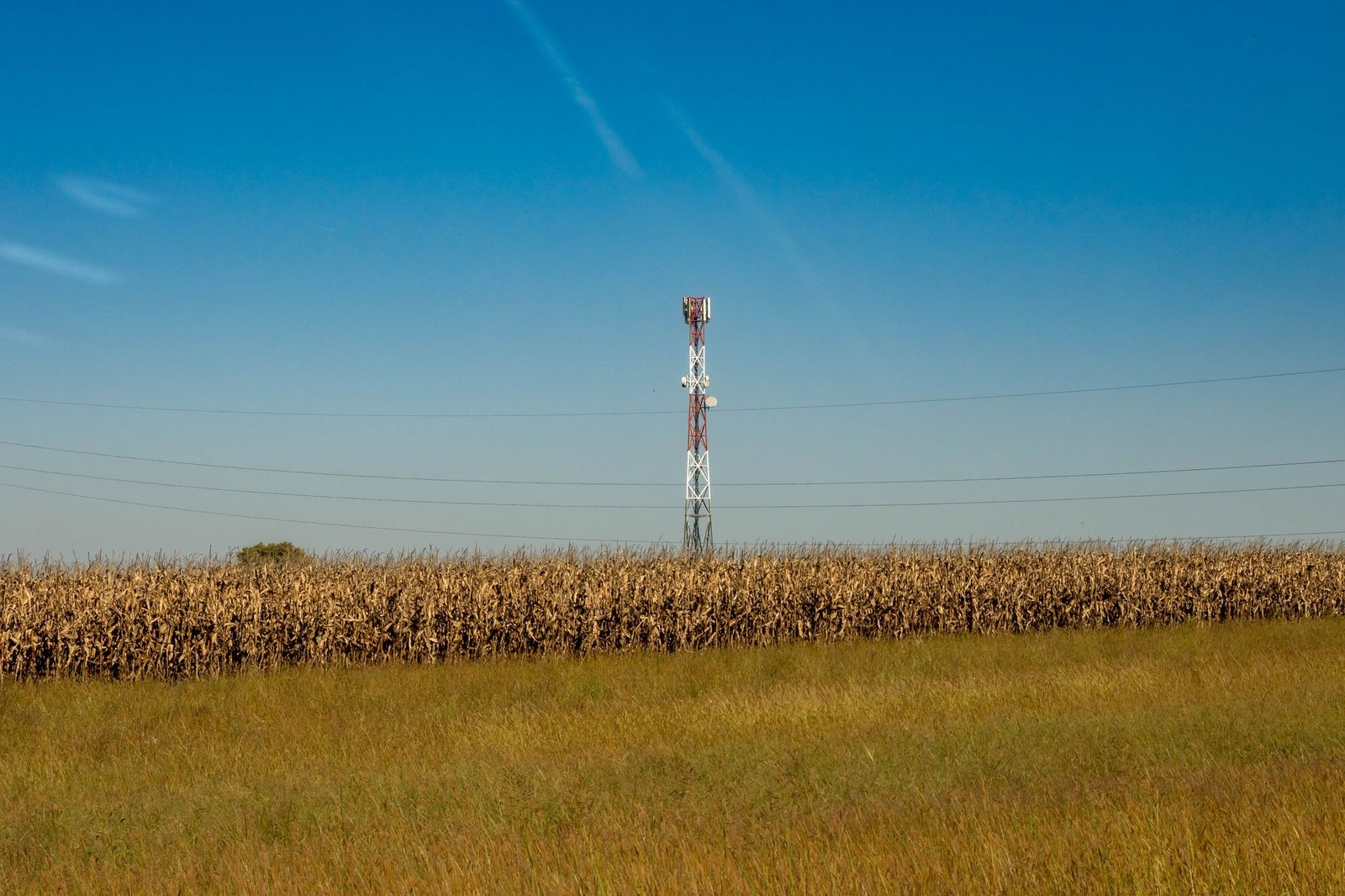 A cell tower carrying the same signal for many cheap carrier brands.