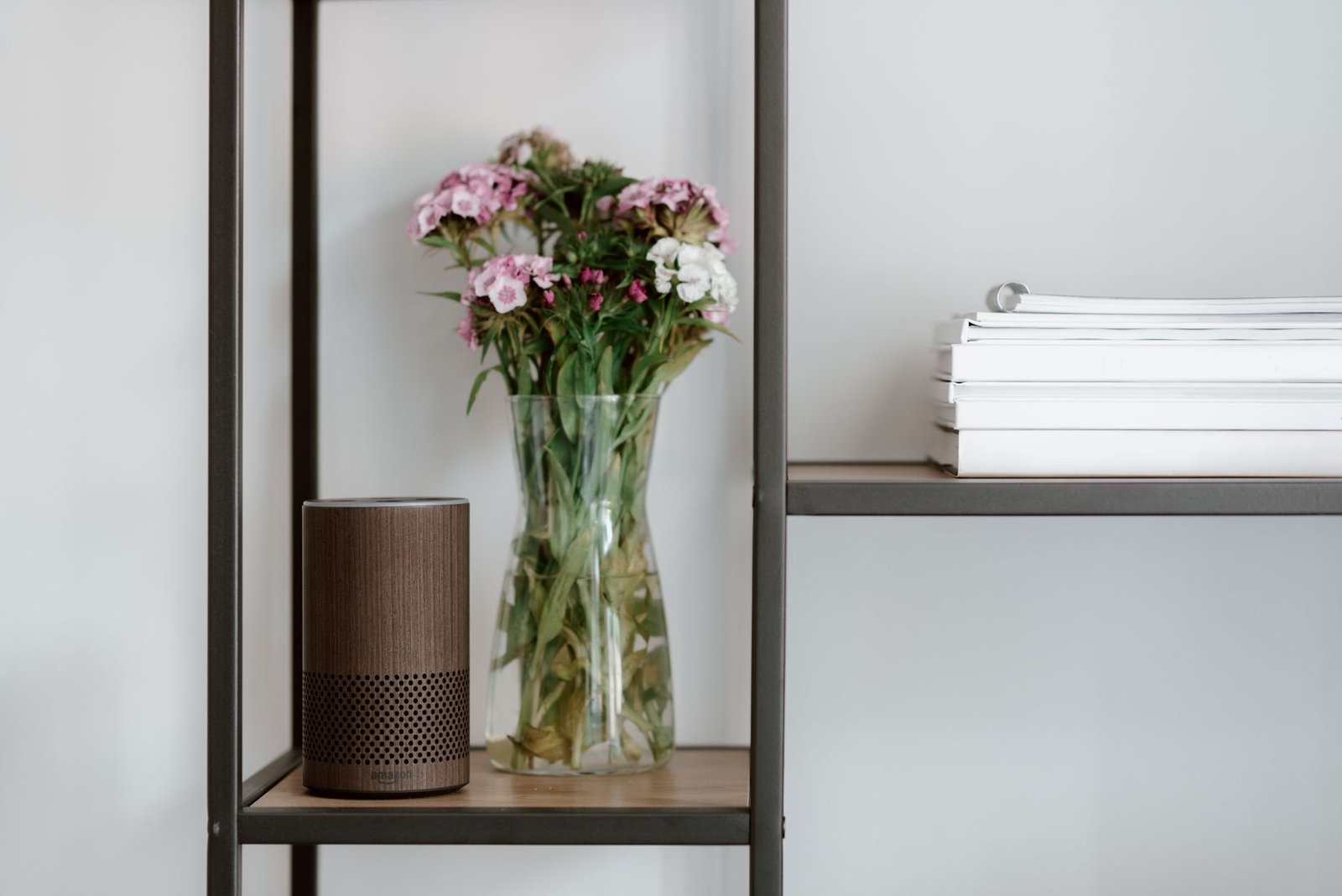 An Amazon Echo speaker on a shelf, one of the devices that supports Alexa+.